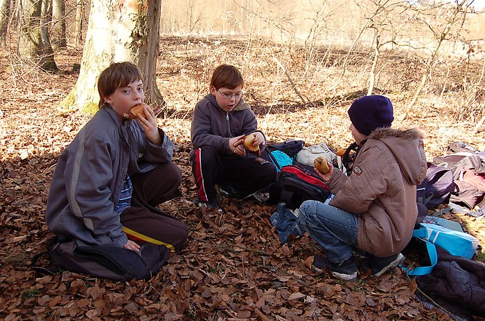 Baumpflanzung am Kyffh&auml;user