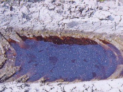 Pro Kyffh&auml;userwald