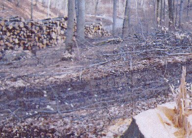 Pro Kyffh&auml;userwald