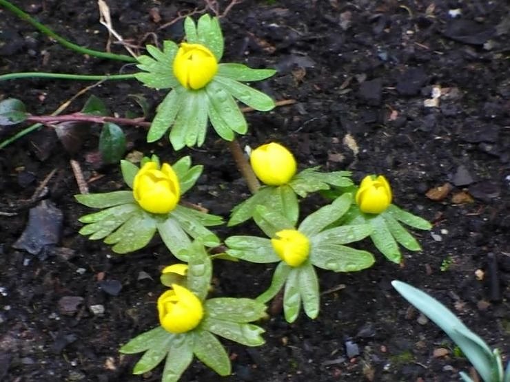 Fr&uuml;hling angekommen