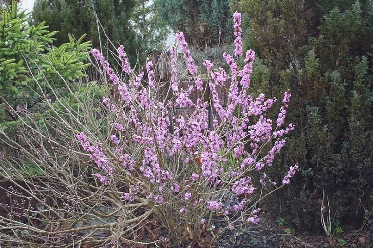 Fr&uuml;hling angekommen