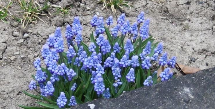 Fr&uuml;hling angekommen