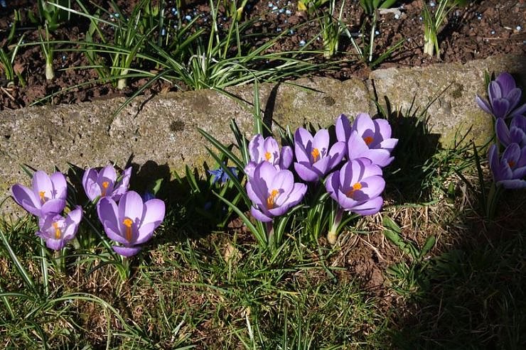 Fr&uuml;hling angekommen