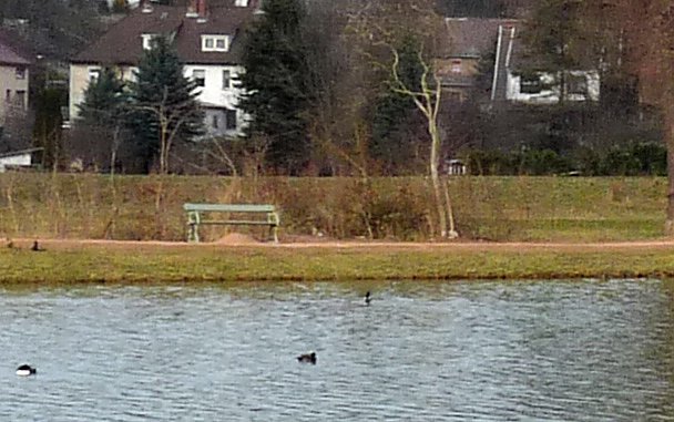 B&auml;nke im Schlosspark