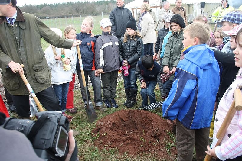Haldenbepflanzung Sondershausen