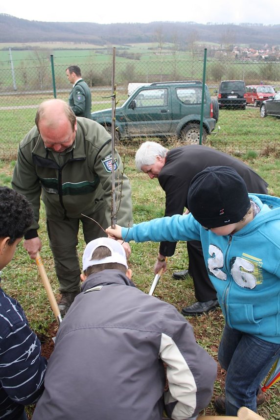 Haldenbepflanzung Sondershausen