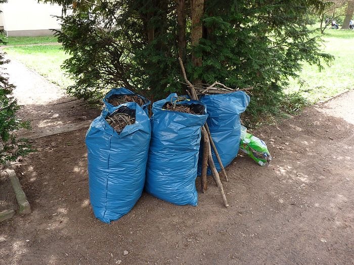 Fr&uuml;hjahrsputz Bad Frankenhausen