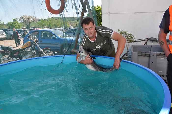 Fischfest in Auleben