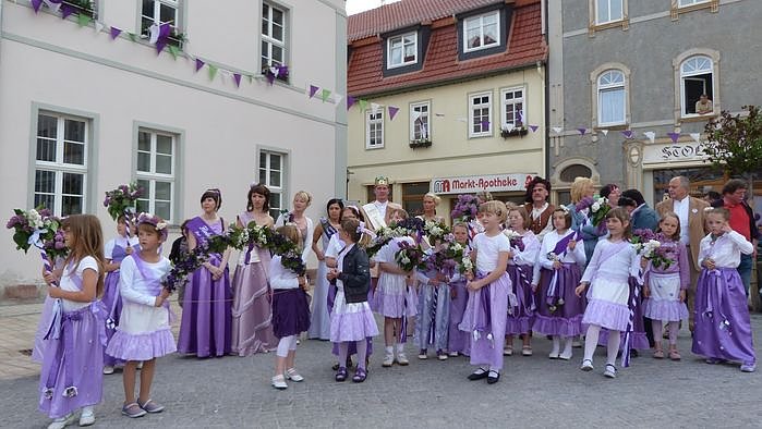Fliederkrone gesetzt