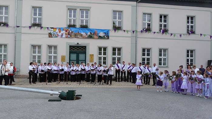 Fliederkrone gesetzt