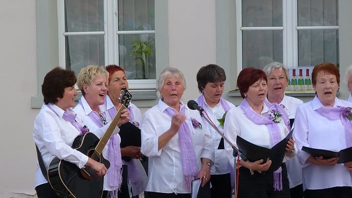 Fliederkrone gesetzt