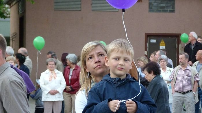 Fliederkrone gesetzt