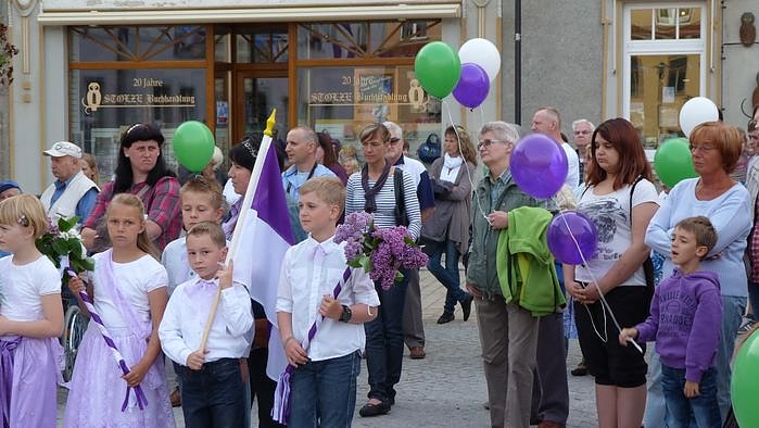 Fliederkrone gesetzt