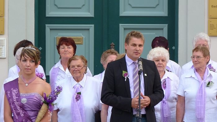 Fliederkrone gesetzt