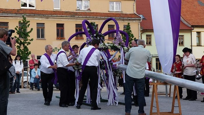Fliederkrone gesetzt