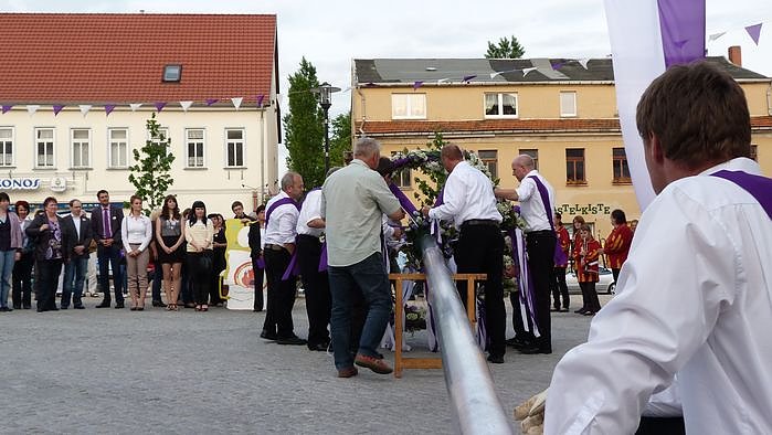 Fliederkrone gesetzt