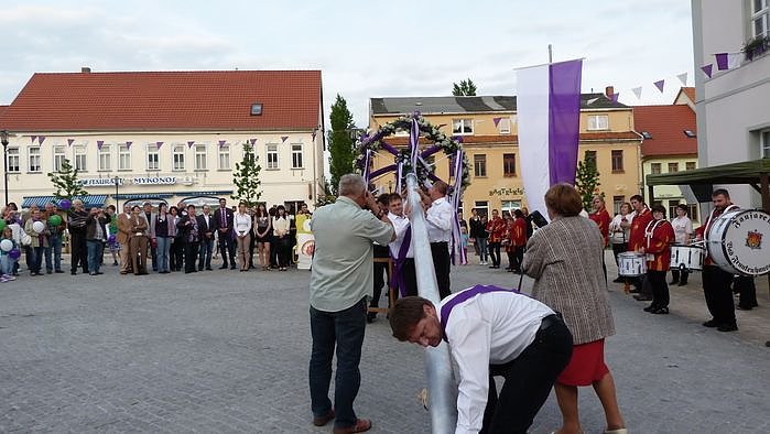 Fliederkrone gesetzt