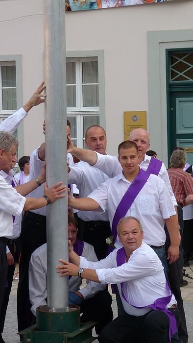 Fliederkrone gesetzt