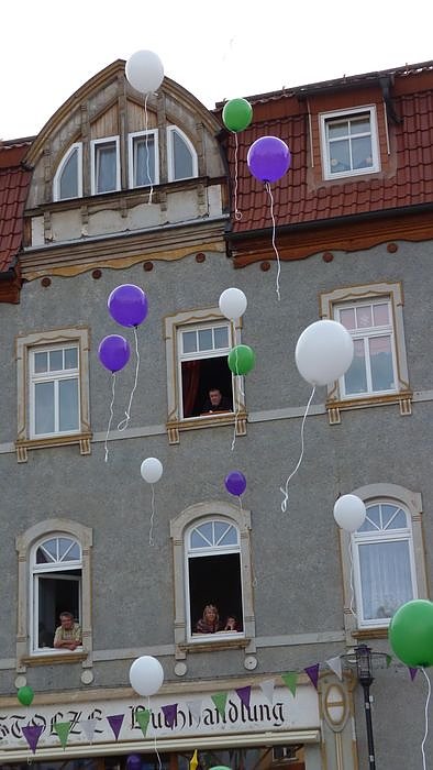 Fliederkrone gesetzt