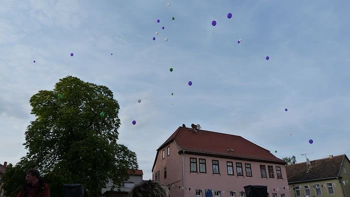Fliederkrone gesetzt