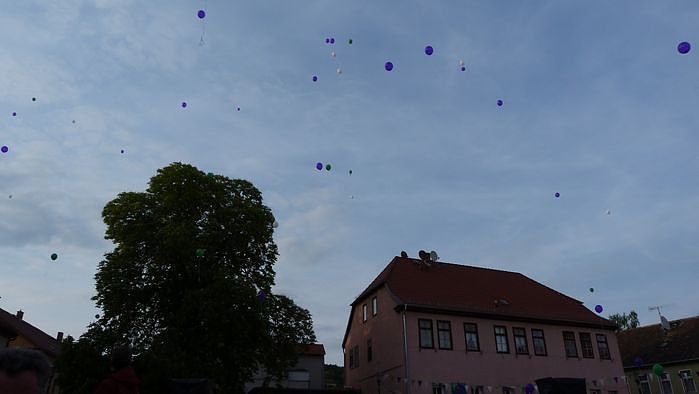 Fliederkrone gesetzt