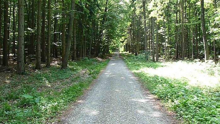 Gef&auml;hrliche Abschitte