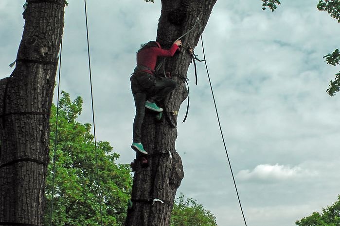 Ritterspiele am Schloss
