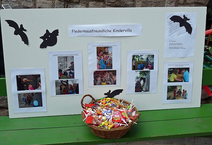 Fledermausfreundliche Kindervilla