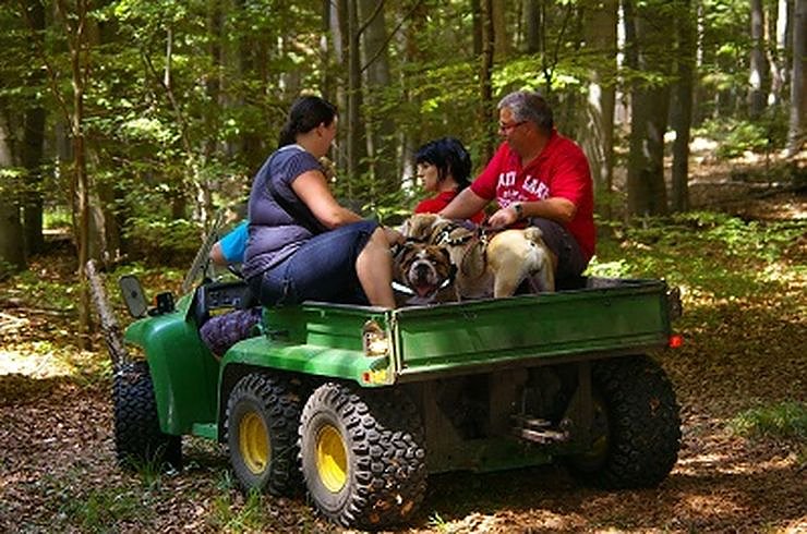 Tierischer Spa&szlig;