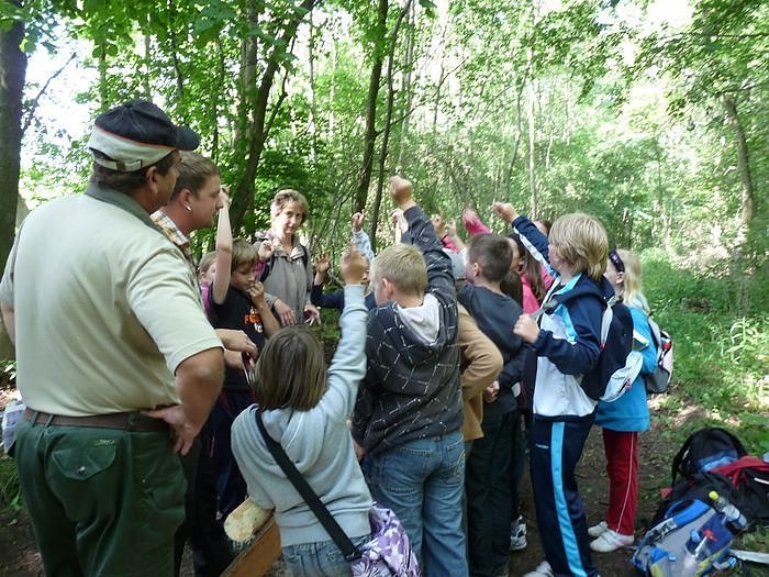 Waldjugendspiele begeisterten