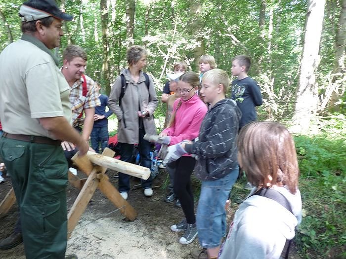 Waldjugendspiele begeisterten