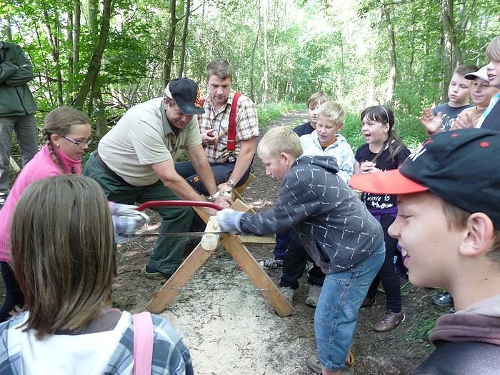 Waldjugendspiele begeisterten