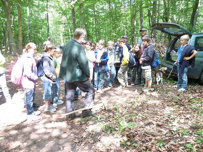 Waldjugendspiele begeisterten