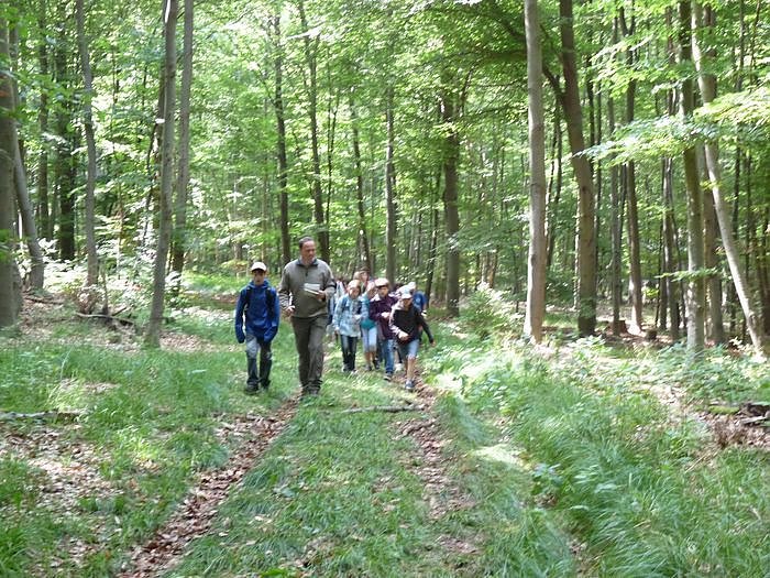 Waldjugendspiele begeisterten