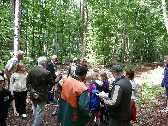 Waldjugendspiele begeisterten