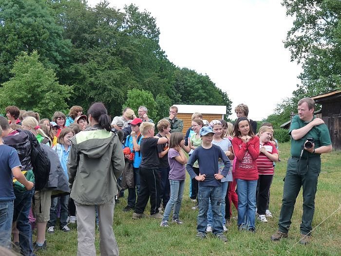 Waldjugendspiele begeisterten