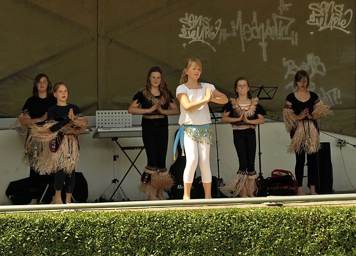 Fest der Vereine - Samstag