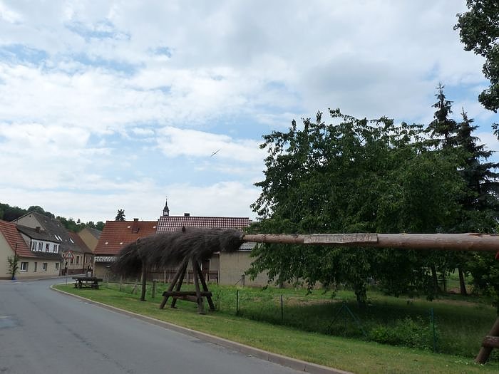 Laubk&ouml;nig gekr&ouml;nt