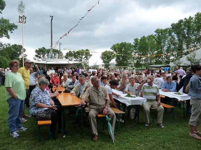 Laubk&ouml;nig gekr&ouml;nt