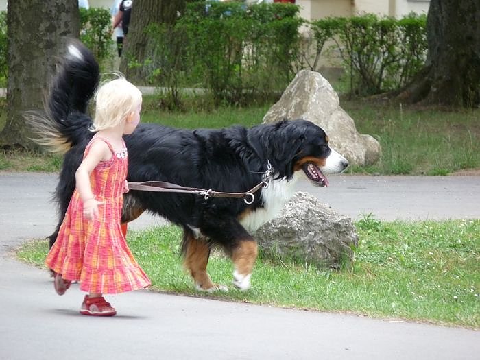 Super, wie Himmelfahrtstag