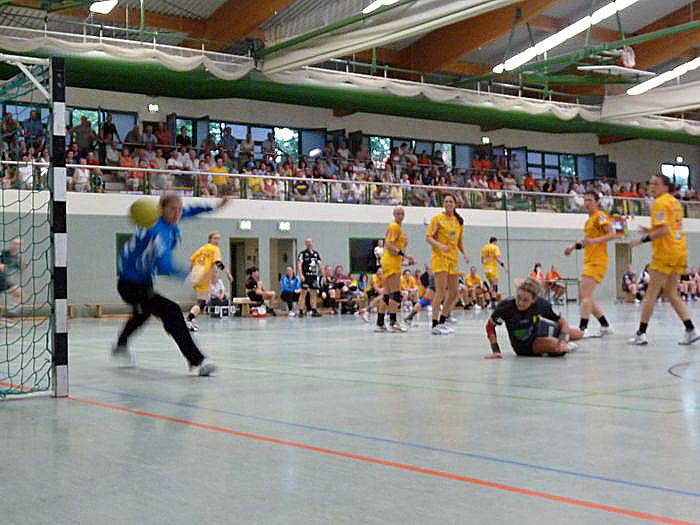 Werbung f&uuml;r den Handball