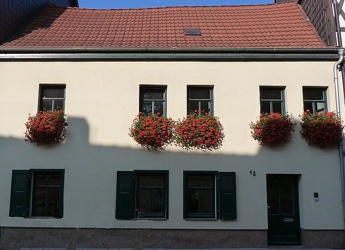 Blumenmeer Bad Frankenhausen