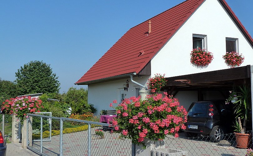 Blumenmeer Bad Frankenhausen