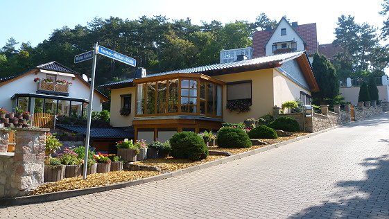 Blumenmeer Bad Frankenhausen