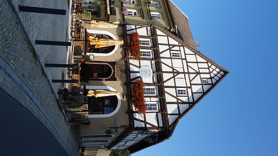 Blumenmeer Bad Frankenhausen