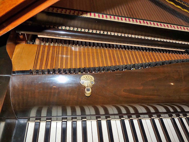 Bedeutende Erweiterung