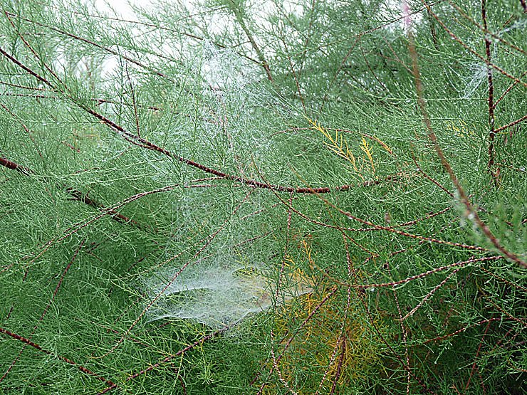 Natur genie&szlig;en