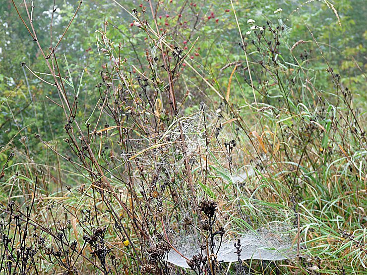 Natur genie&szlig;en