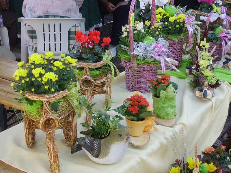 Wetter stimmte zum Zwiebelmarkt