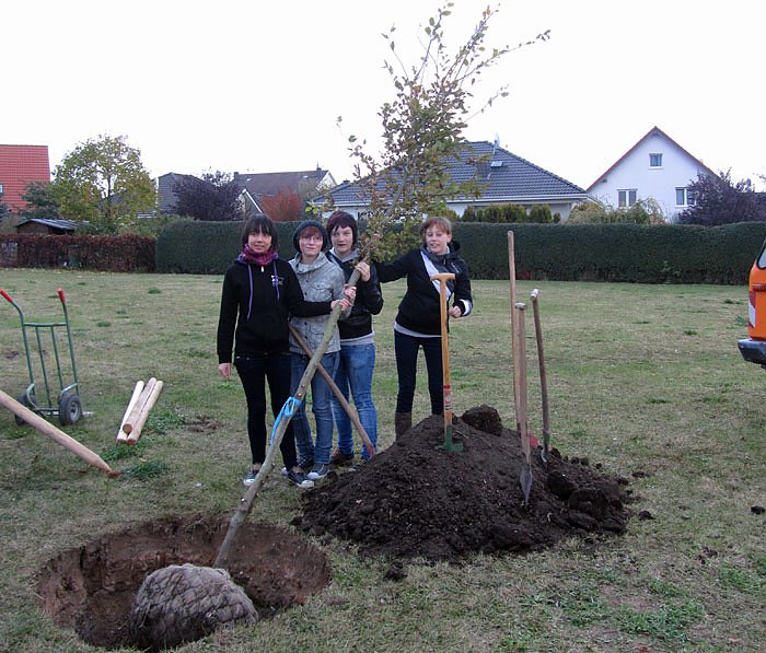 Jugendweihebaum in Bad Frankenhausen